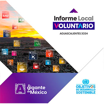 INFORME_AGUASCALIENTES